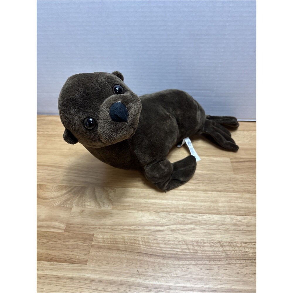 The Pettting Zoo 2015 Sea Lion Brown Seal Ocean Animal Flippers Fish